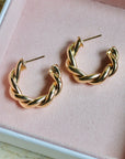Vivian Grace Gold Twist Hoops