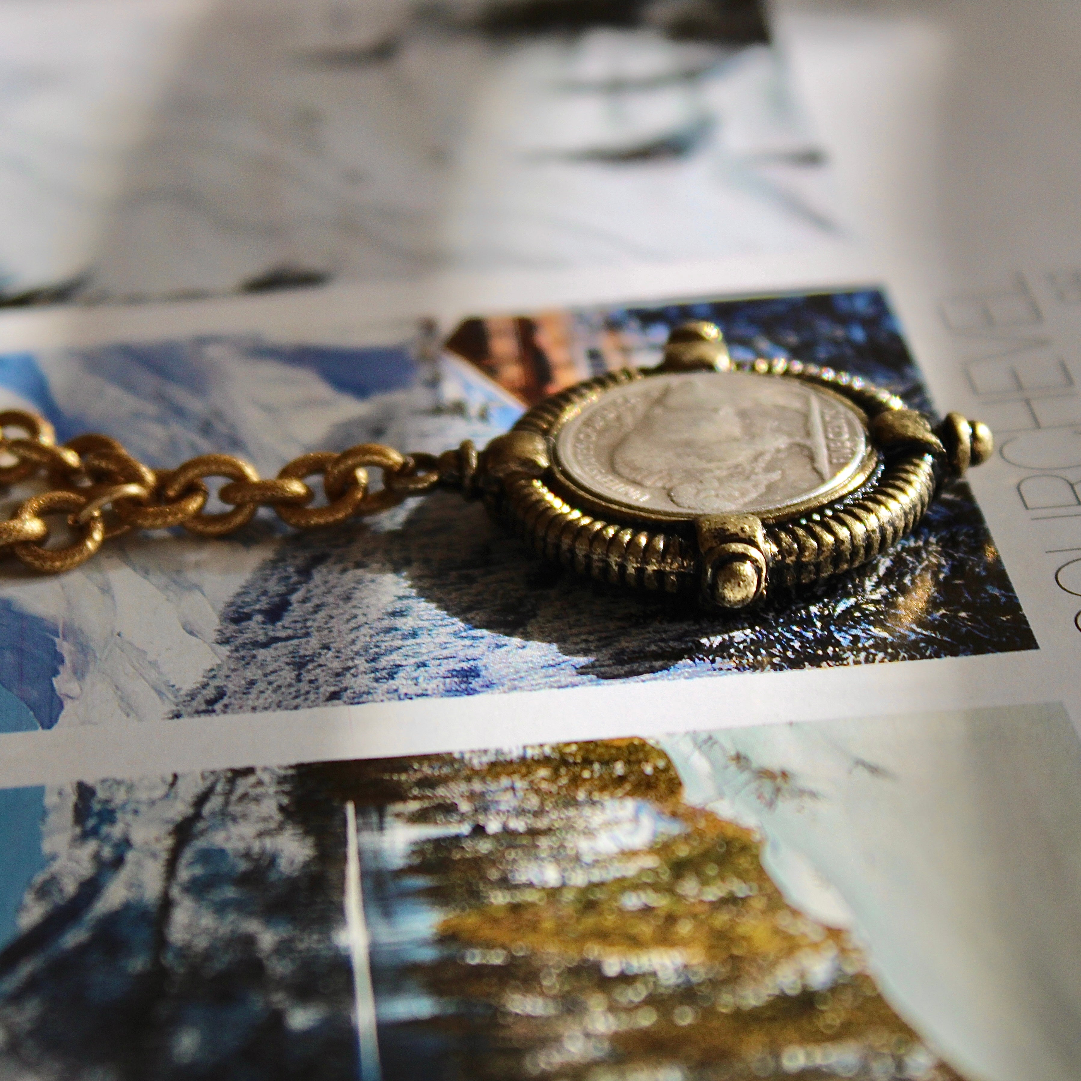 Vivian Grace Jewelry Necklace Gold Antiqued Gold Buffalo Coin Necklace