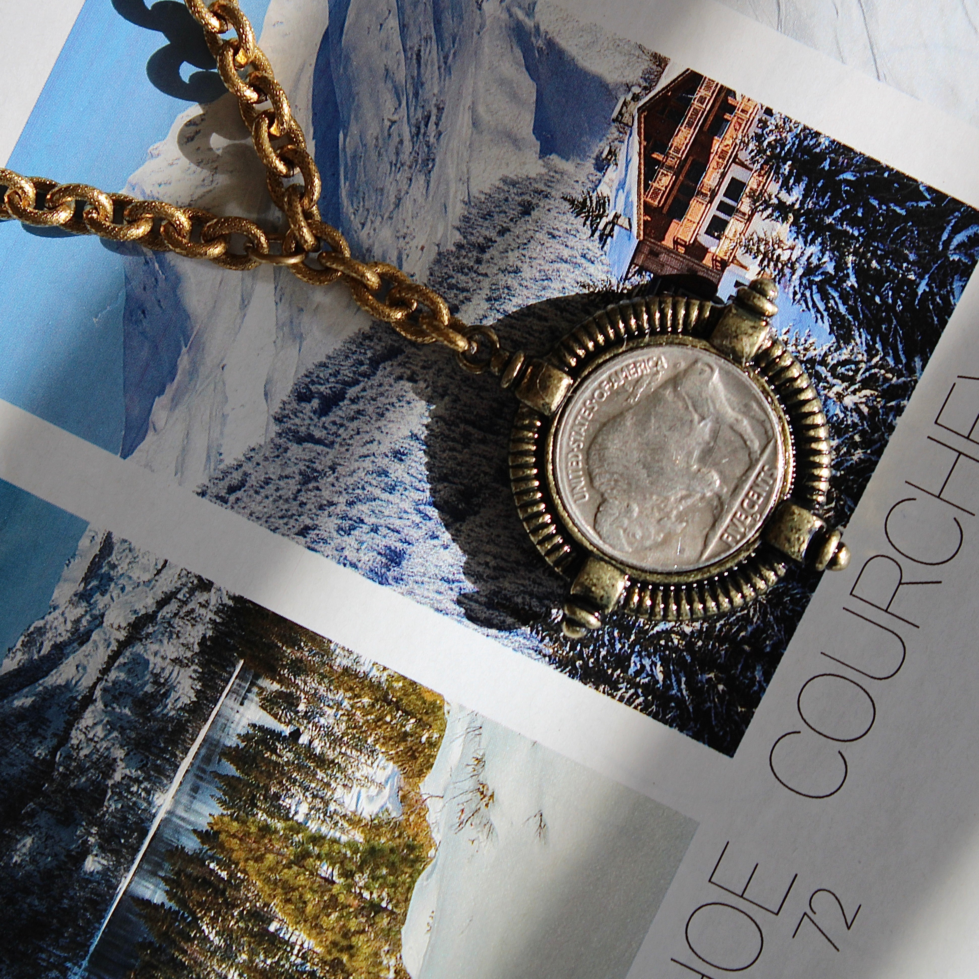 Vivian Grace Jewelry Necklace Gold Antiqued Gold Buffalo Coin Necklace