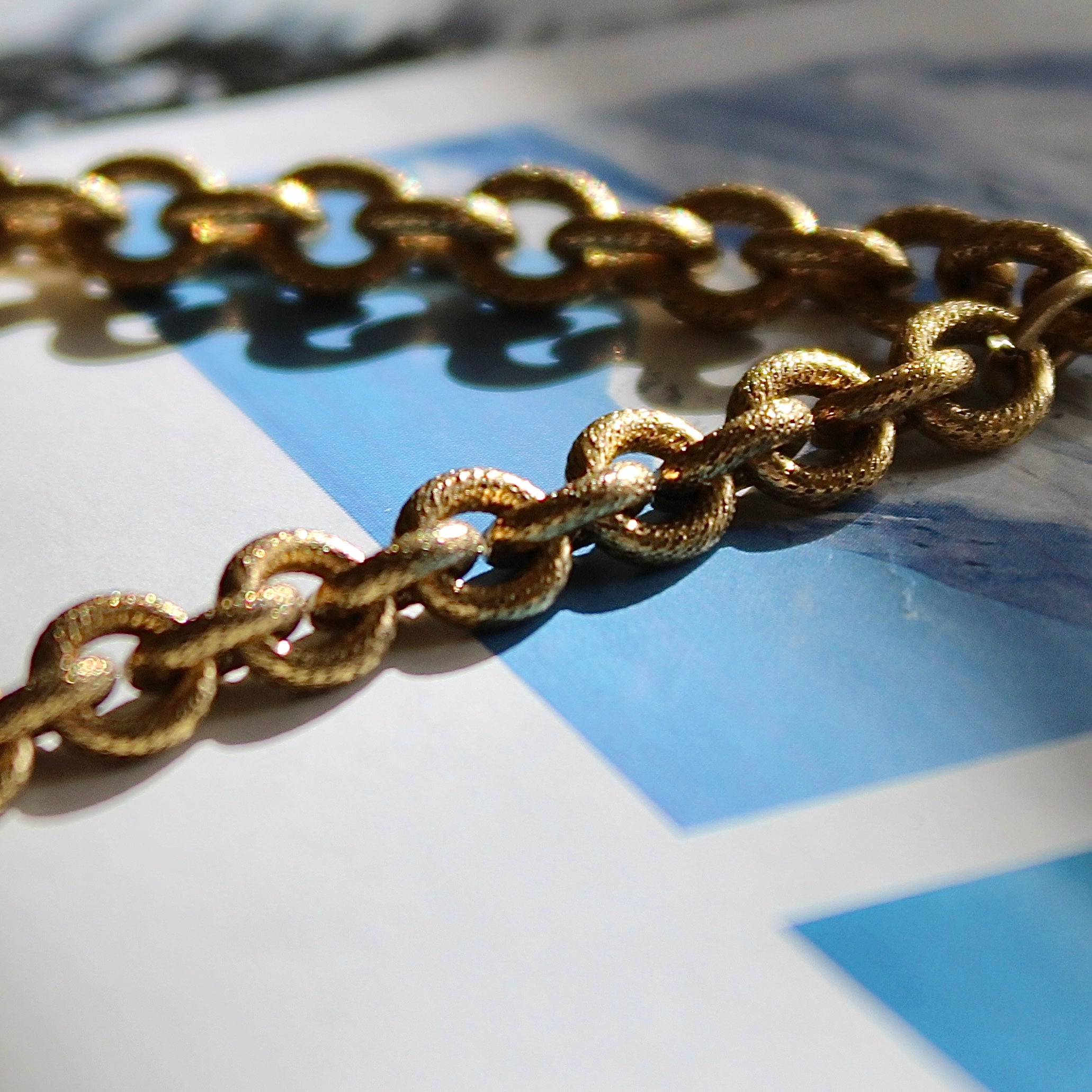 Vivian Grace Jewelry Necklace Gold Antiqued Gold Buffalo Coin Necklace