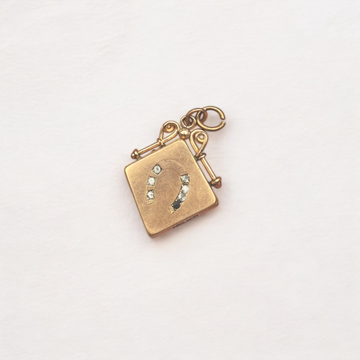 Vivian Grace Vintage Pendant Gold Vintage Horseshoe Locket with photos (circa 1880)